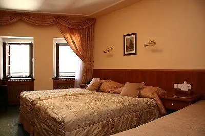 Clementin Hotel Praag Tsjechië